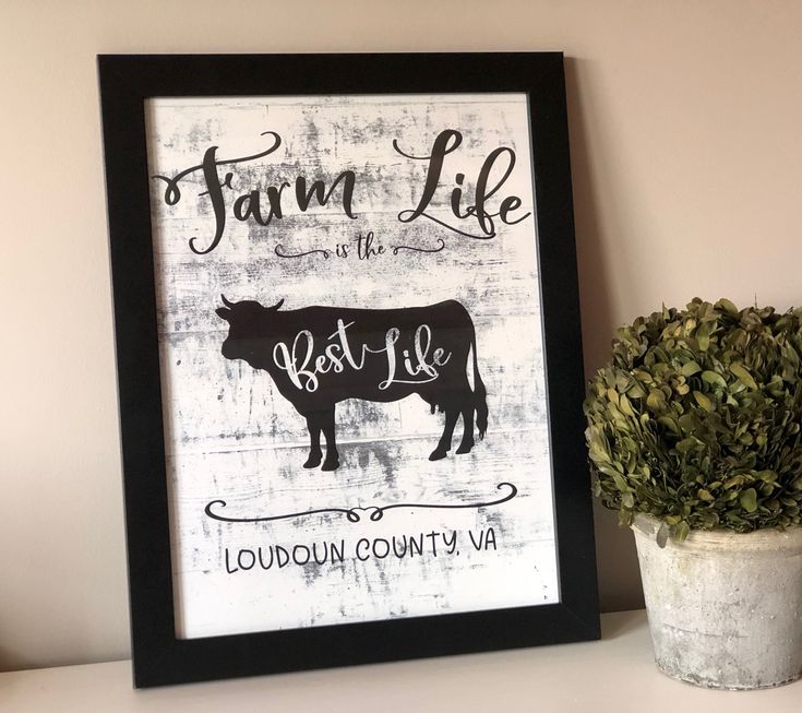 Farm Life is the Best Life in Loudoun County