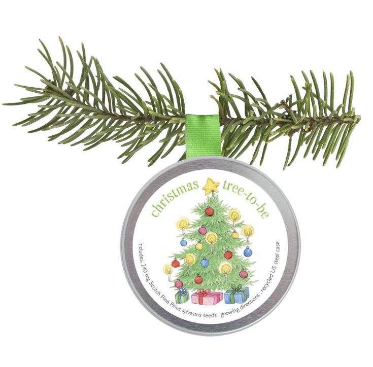 Garden Sprinkle Holiday Ornament | A Tree to Be