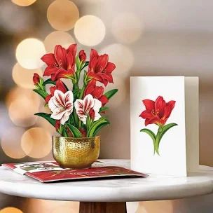 Mini Paper Pop-Up Card -~Scarlet Amaryllis