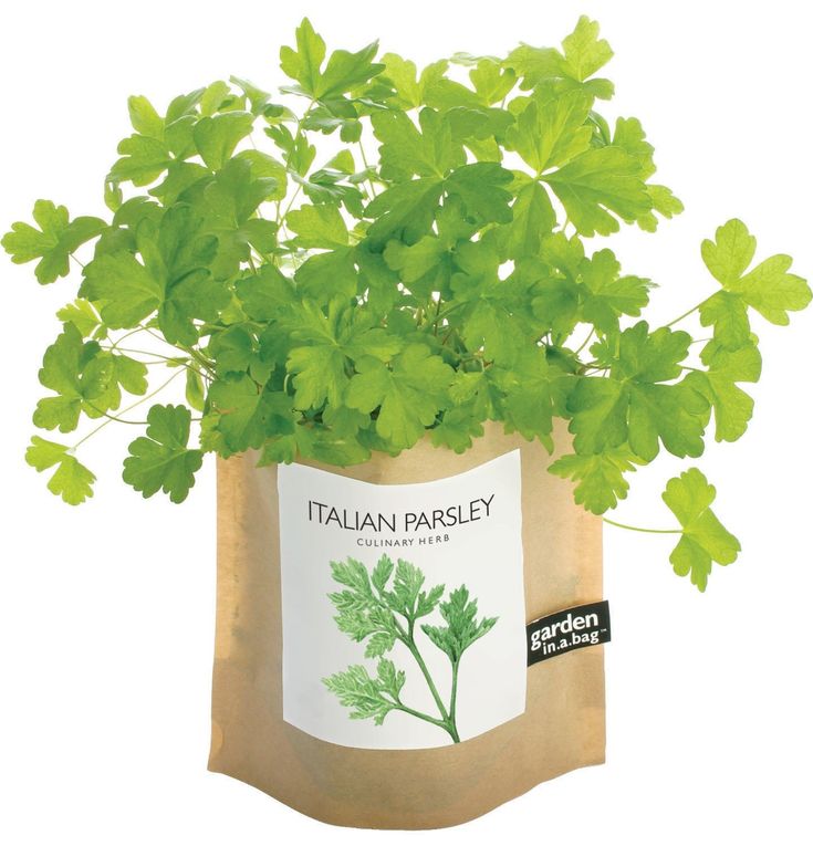Garden in a Bag – Herbs & Flowers