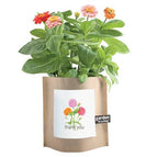 Thank you ~ Zinnias