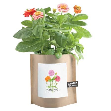 Garden in a Bag – Herbs & Flowers