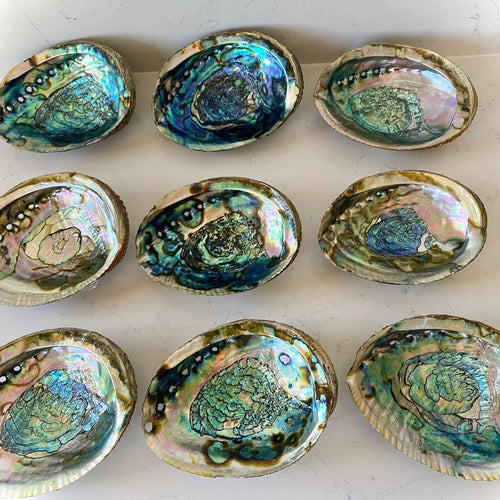 Abalone Shell Sage Smudge Bowl with Tripod Stand Option