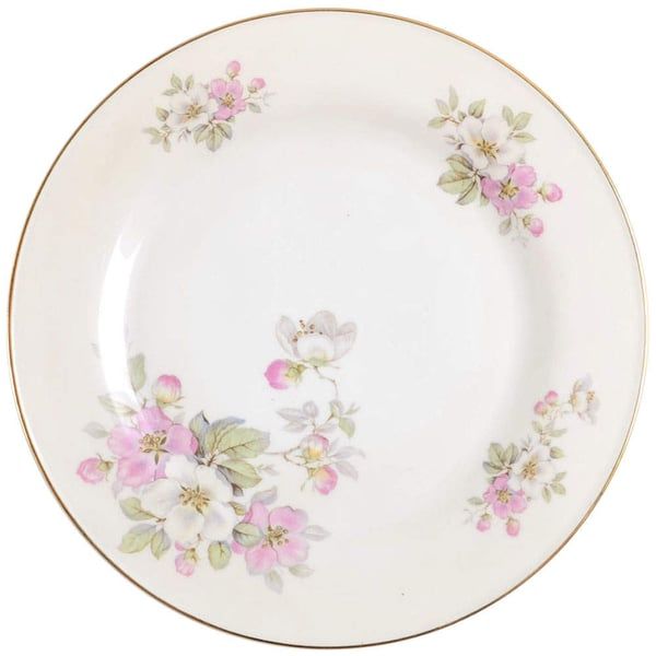 Vintage China ~ Apple Blossom By Tirschenreuth