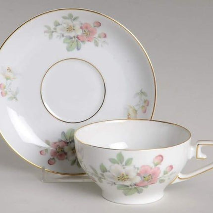 Vintage China ~ Apple Blossom By Tirschenreuth