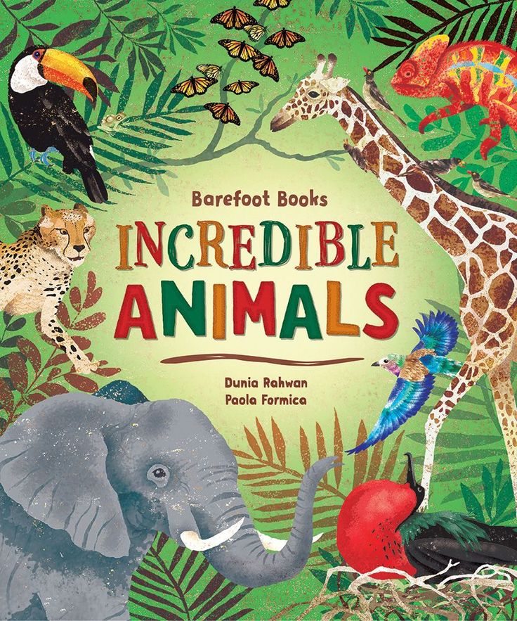 Barefoot Books ~ Incredible Animals - Hardcover