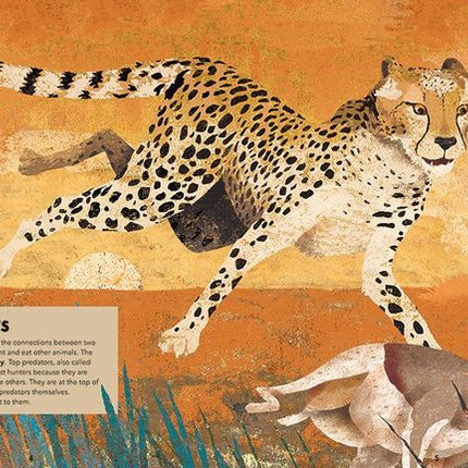 Barefoot Books ~ Incredible Animals - Hardcover