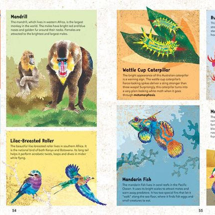 Barefoot Books ~ Incredible Animals - Hardcover