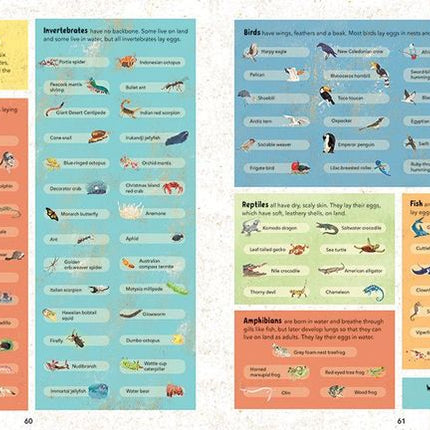 Barefoot Books ~ Incredible Animals - Hardcover