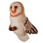 Barn Owl