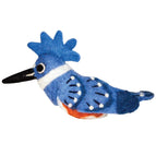 Belted Kingfishers