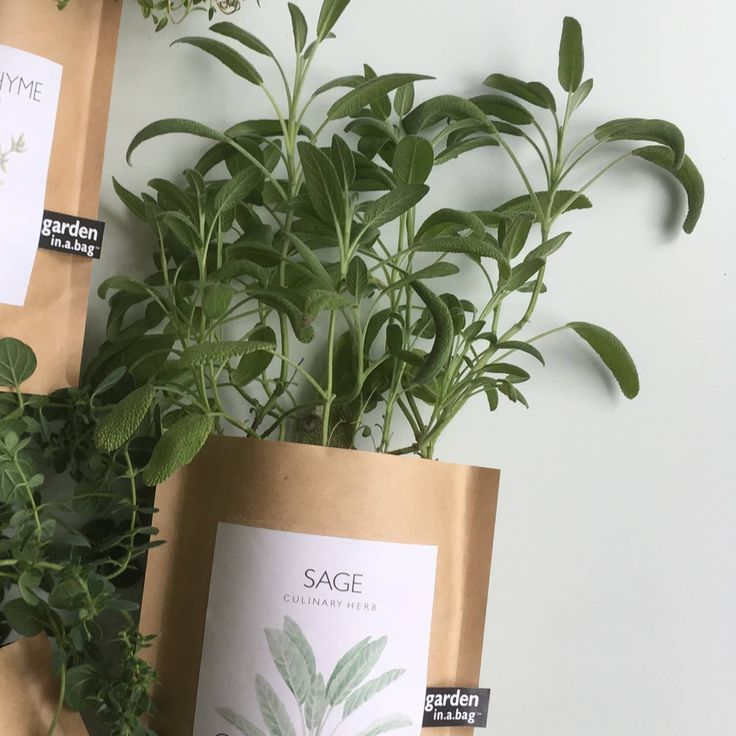 Garden in a Bag – Herbs & Flowers