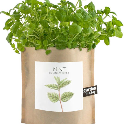 Garden in a Bag – Herbs & Flowers