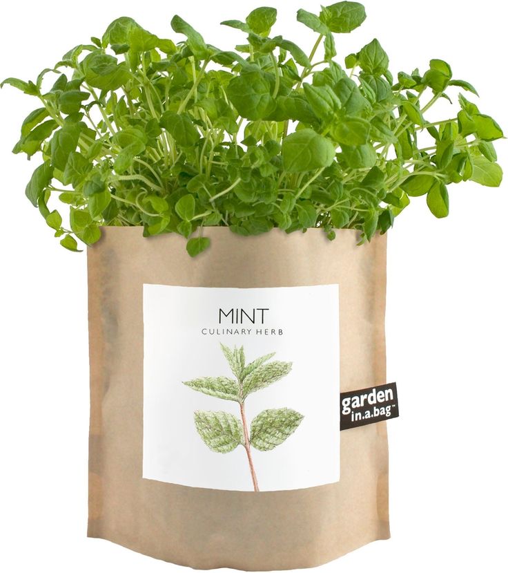 Garden in a Bag – Herbs & Flowers