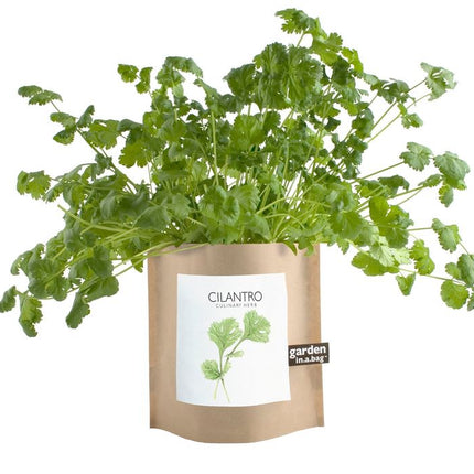 Garden in a Bag – Herbs & Flowers
