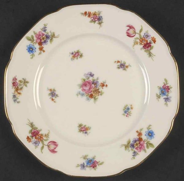 Vintage China ~ Colwyn By Tirschenreuth