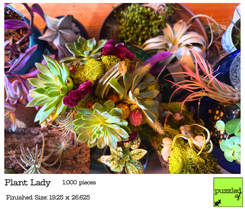 1,000-Piece Leesburg Puzzle Collection by Puzzled AF