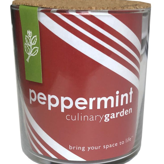 Peppermint Culinary Garden