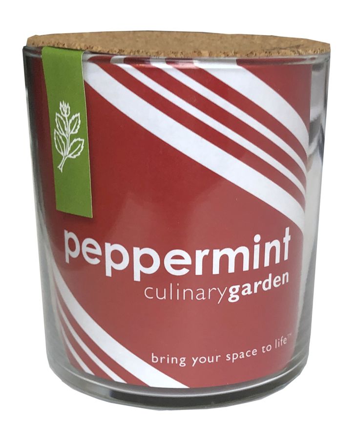 Peppermint Culinary Garden