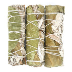 Eucalyptus