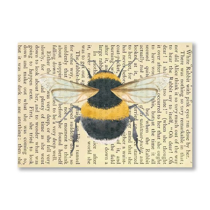 Vintage Book Art ~ Cecilia Rose