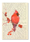 Cardinal