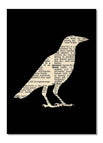 Crow