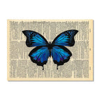 Blue Indigo Butterfly