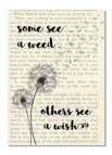 See a Wish