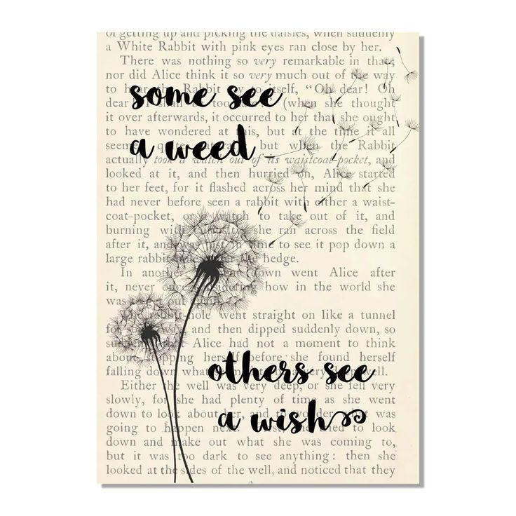 Vintage Book Art ~ Cecilia Rose
