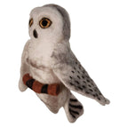 Snowy Owl