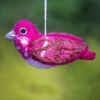 Purple Finch