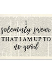 I solemnly swear