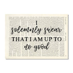 I solemnly swear