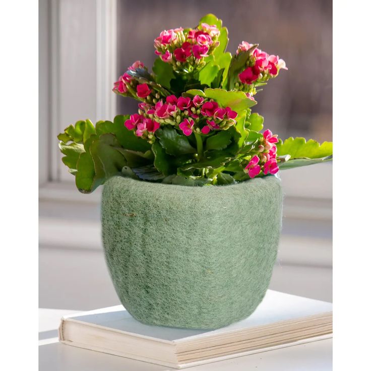 Felted Wool Planters