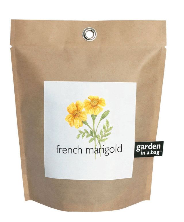 Garden in a Bag – Herbs & Flowers