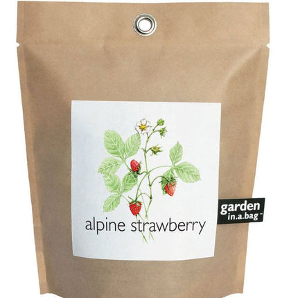 Garden in a Bag – Herbs & Flowers