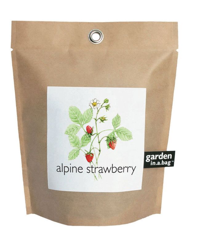 Garden in a Bag – Herbs & Flowers