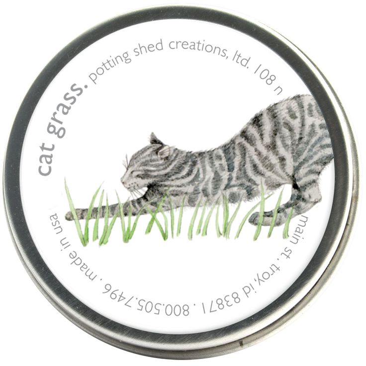 Garden Sprinkles | Cat Grass Seeds