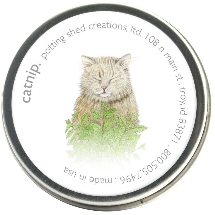 Garden Sprinkles | Organic Cat Nip