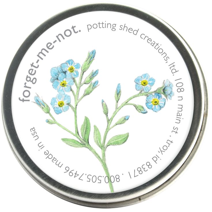 Garden Sprinkles | Forget-Me-Not