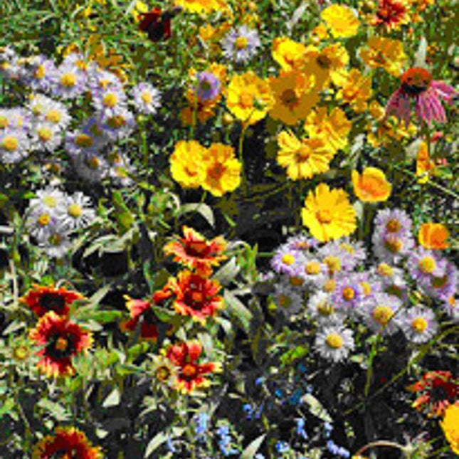 Garden Sprinkles | Honeybee