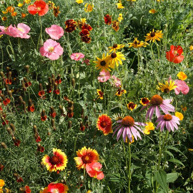 Garden Sprinkles | Wildflower