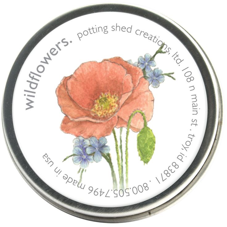 Garden Sprinkles | Wildflower