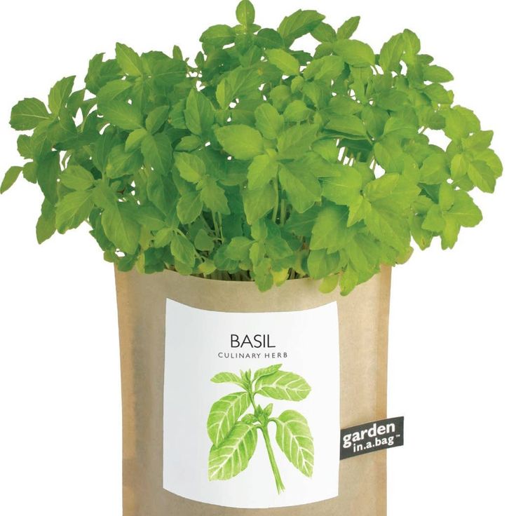 Garden in a Bag – Herbs & Flowers