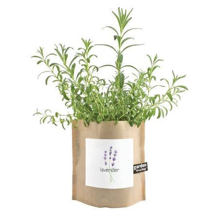 Garden in a Bag – Herbs & Flowers