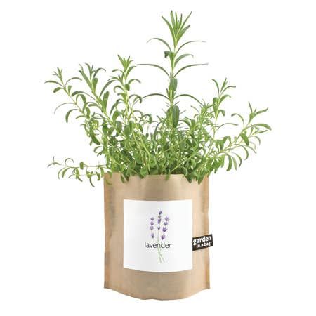 Garden in a Bag – Herbs & Flowers
