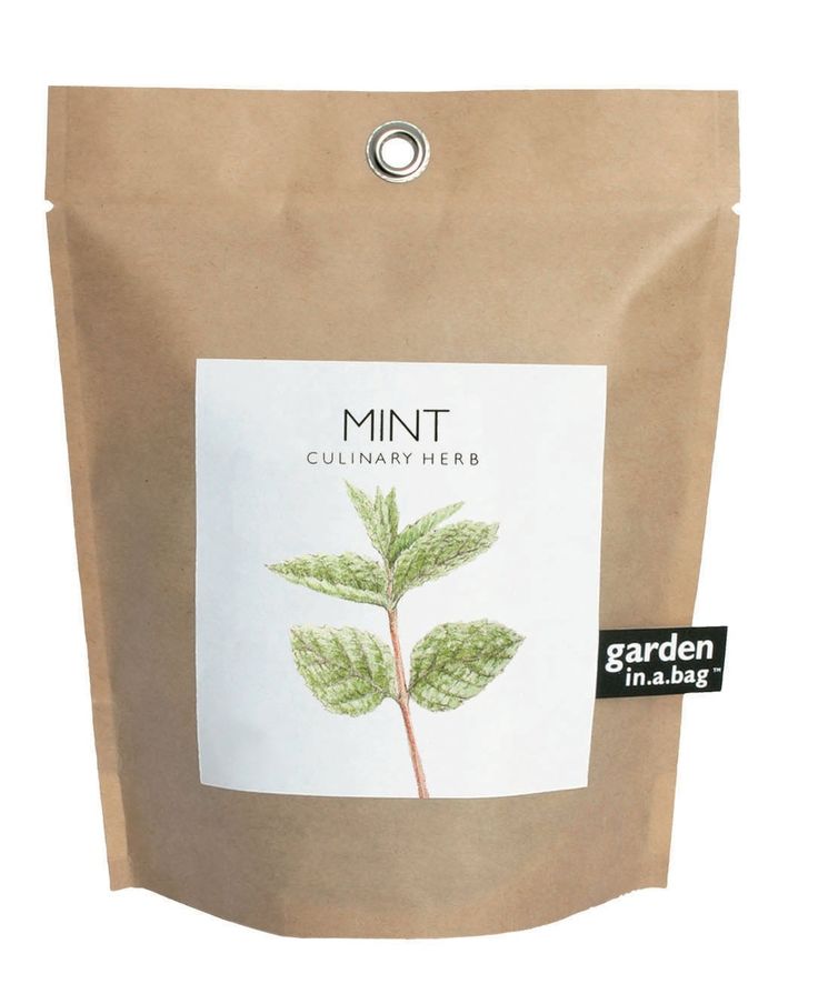 Garden in a Bag – Herbs & Flowers
