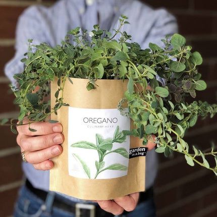 Garden in a Bag – Herbs & Flowers