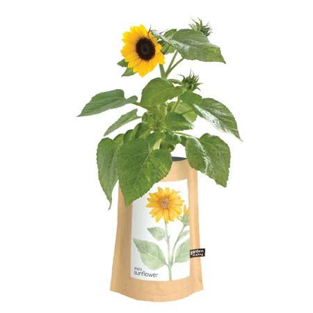 Garden in a Bag – Herbs & Flowers